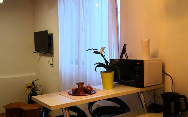 Apartment Bistrik 1
