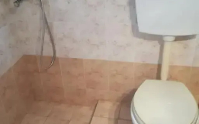 Theo House 1