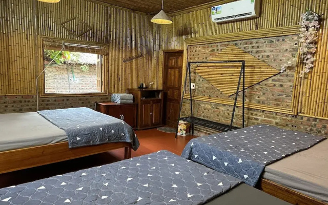 Ninh Binh bamboo