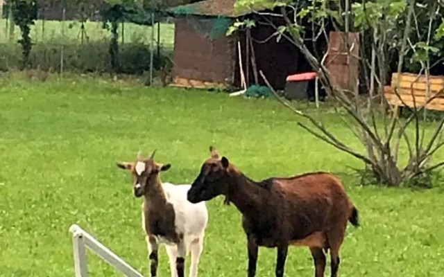 B&b parco delle sequoie