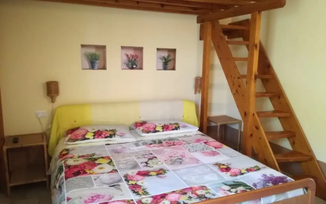 Agriturismo Biologico La Tana del Lele