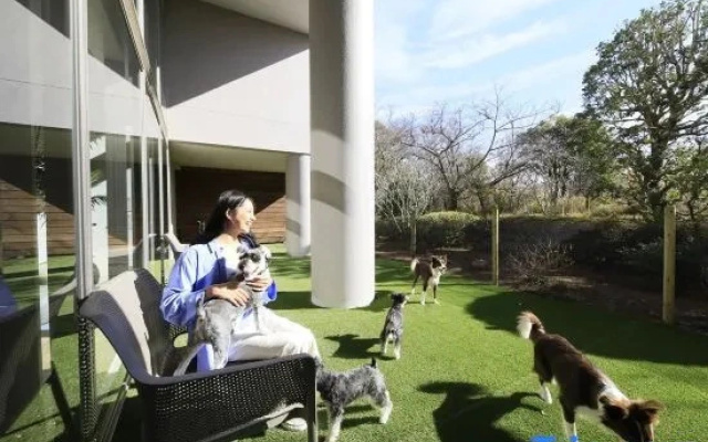 Yururi Atami With Dogs