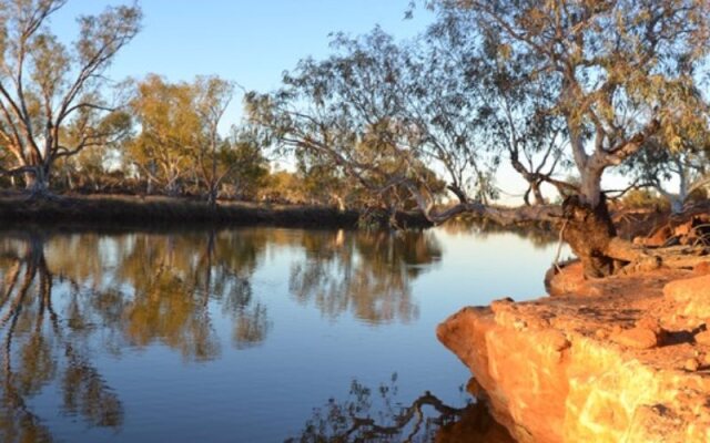 Wooleen Station
