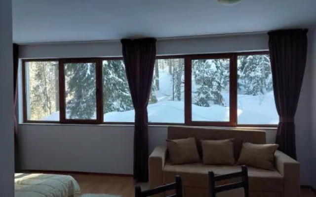 Hotel Iceberg & Spa Pamporovo