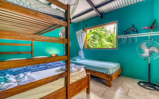 Green Jungle House