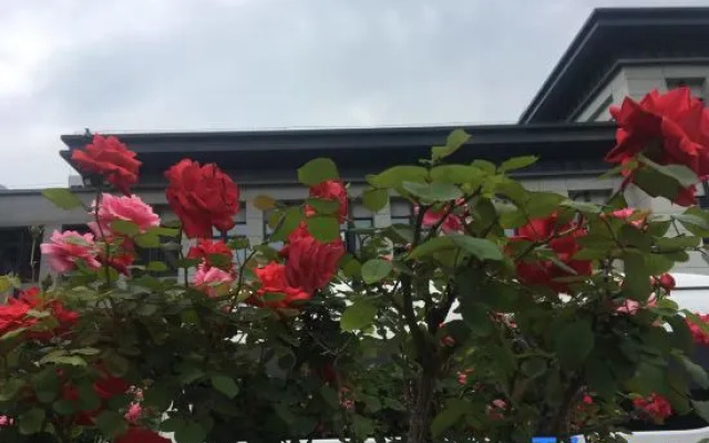 Yuanlai Homestay
