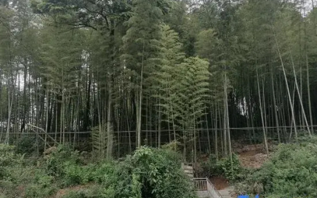 Yongchuan Chunzhu Mountain Villa (Chashan Zhuhai Branch)