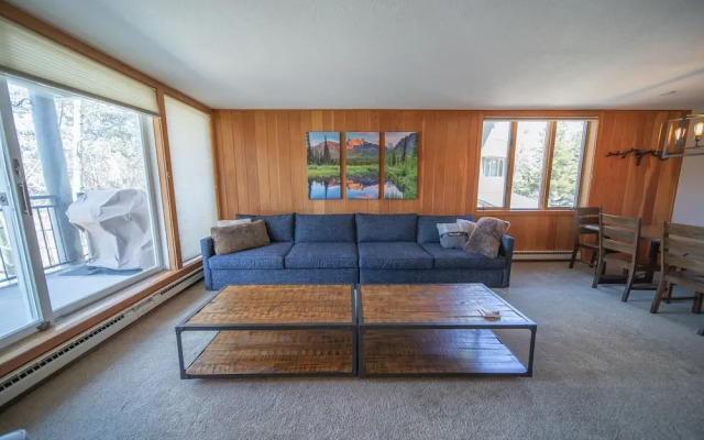 Pines 2161