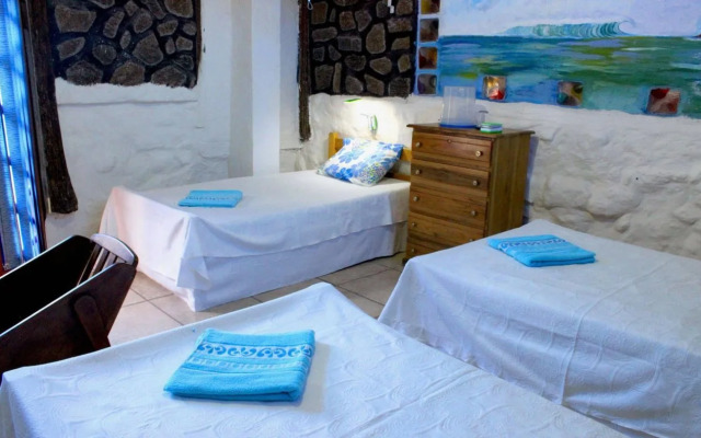 Galapagos Penguin Hostel
