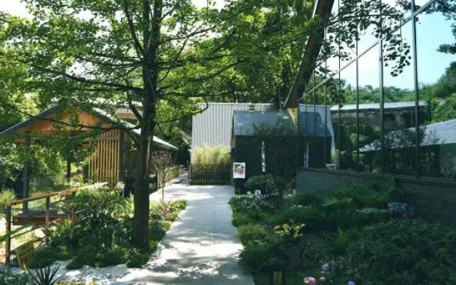 Qingcheng Mountain  Qingcheng Mijing Homestay