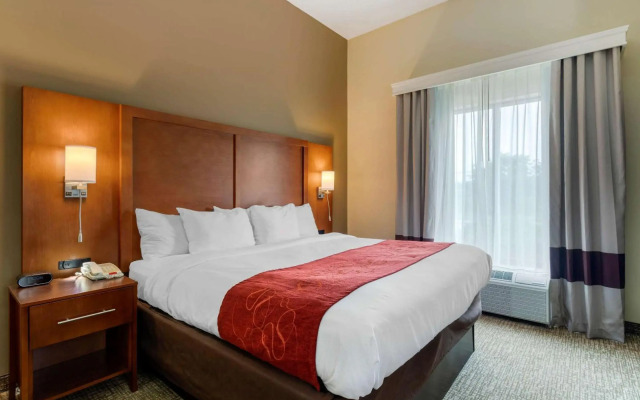 Comfort Suites Kingsport South