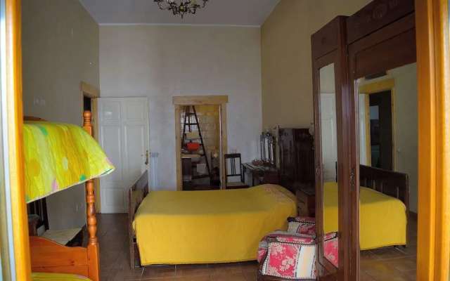 B&B Animali Selvaggi