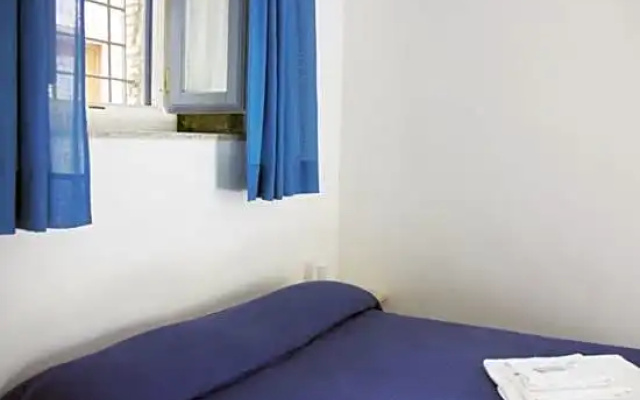 B&B Amphisya