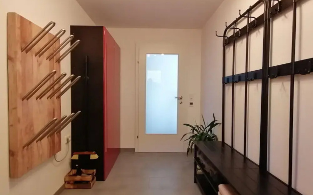 Apartment in Dienten Near Gabuhel Ski Lift