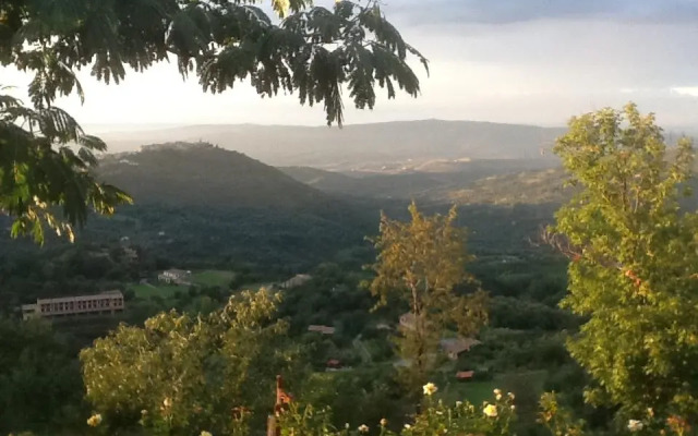 Il Nido