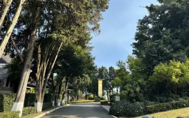 Tianyi Tea Homestay