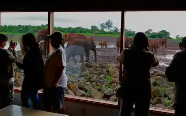 The Ark Lodge