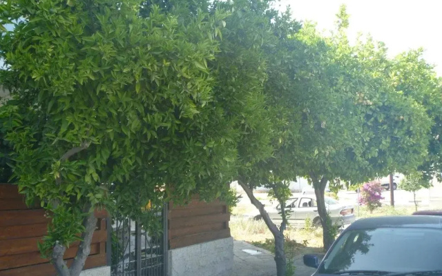 Larnaca City