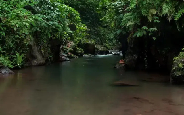 Bali Eco Adventure & Retreat Center