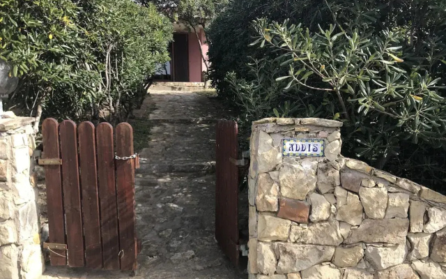 Lucertola
