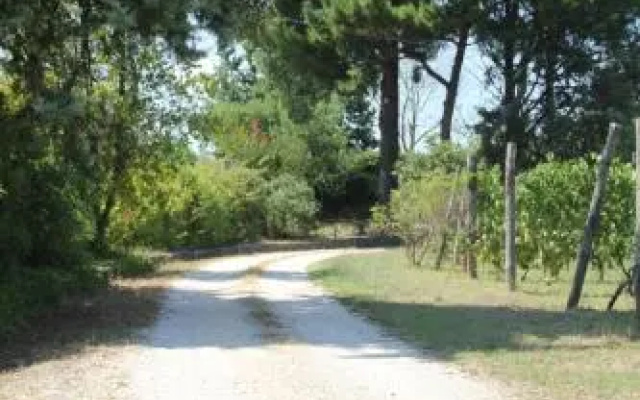 La Fattoria Barbini
