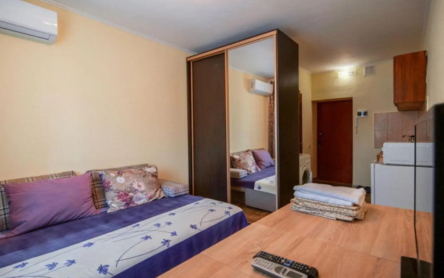 Apartment on Gagarina Avenue