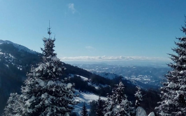 Sky 3