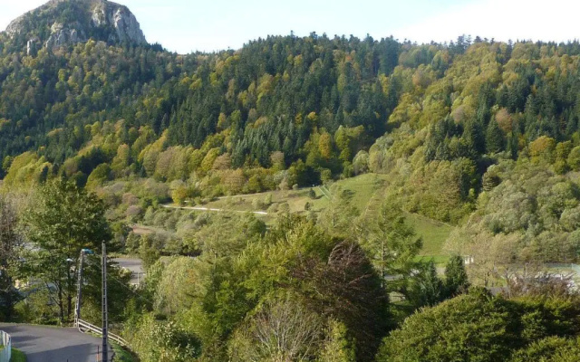 Appartement Mont-Dore, 1 pièce, 3 personnes - FR-1-608-93