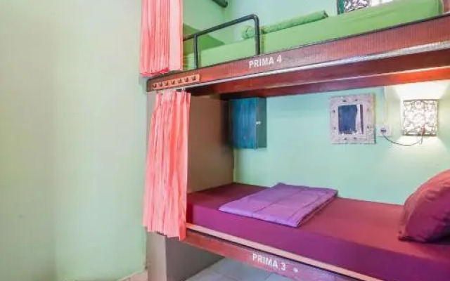 Padi Home