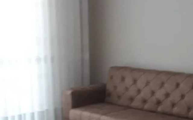 Geyikli Olive Apart