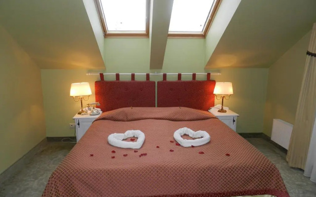 Hotel Metsis