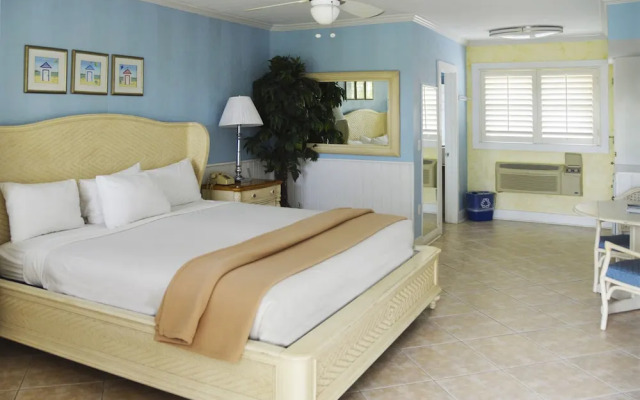 Lemon Tree Inn