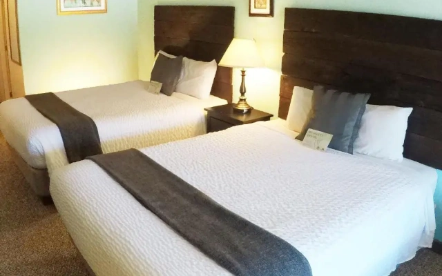 Mountain View Lodge and Resort