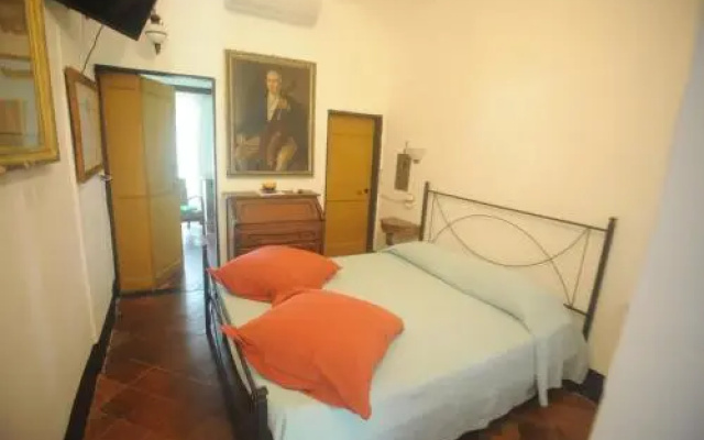 Il Pernambucco della Contessa