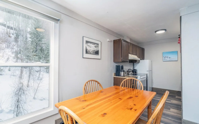 Mountainside Inn 313 1 Bedroom Condo by Alpine Lodging Telluride