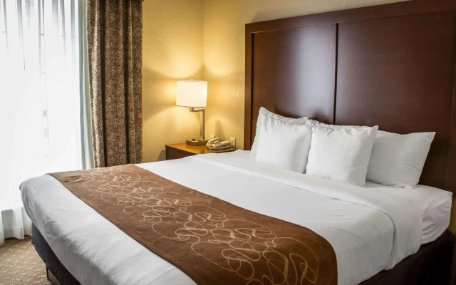 Comfort Suites San Antonio Near Seaworld