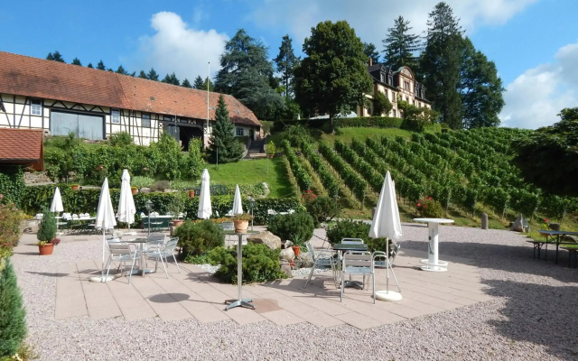 Wein Lodge Durbach - Schlossblick