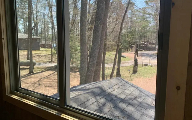 Black Bear Lodge Bear Trap #1