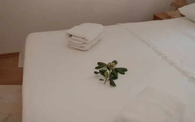 Apartments Prce