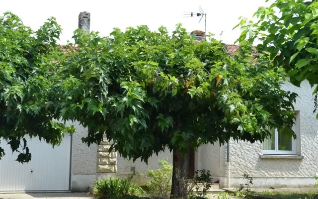 Maison dans Lotissement