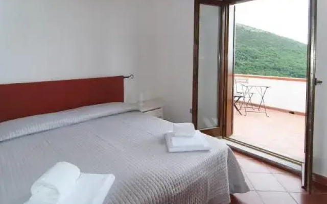 B&B Monticello