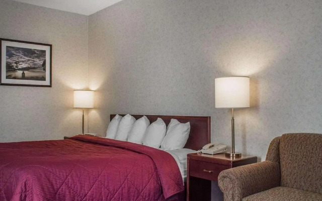 Quality Hotel & Suites