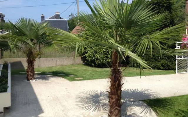 Gîte des 2 palmiers