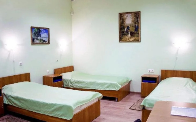 Bor na Volge Hostel