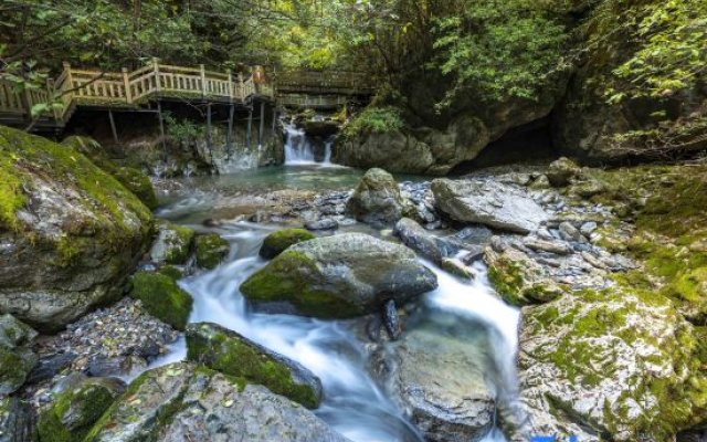 Shennongjia Xixuantang Homestay (Muyuzhen Shennongtan Scenic Area Branch)