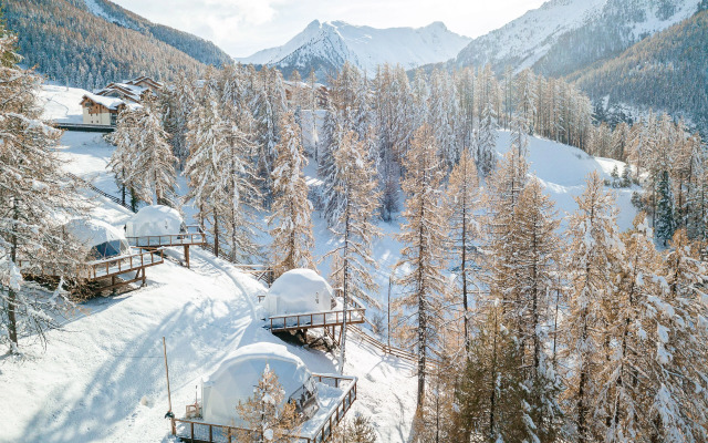 Alpin D’Hôme