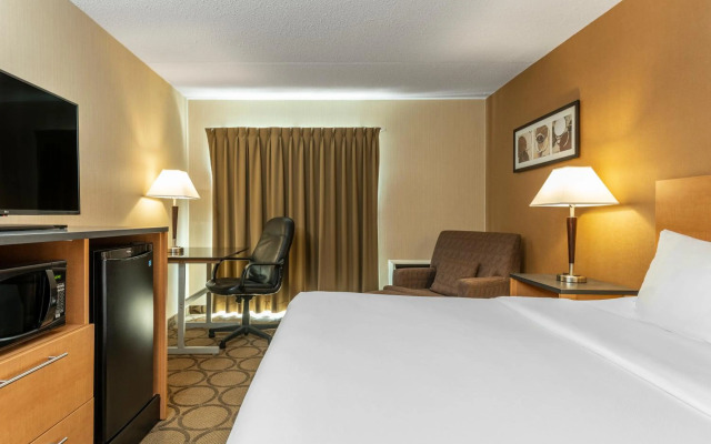 Comfort Inn West Edmonton