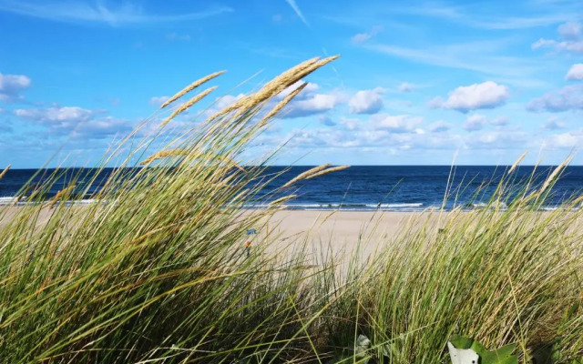 Ferienhaus Strand 18