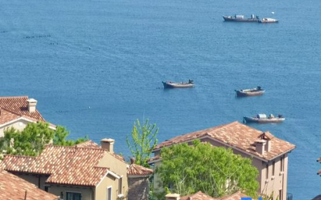 Floral Hotel·Orange Sea Homestay