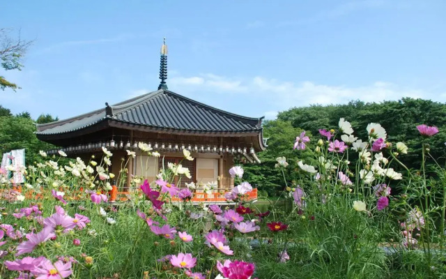 The Kashihara